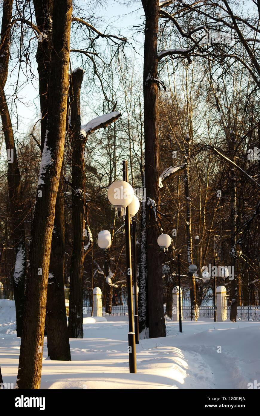 shadows from trees in the park, in winter Stock Photo - Alamy