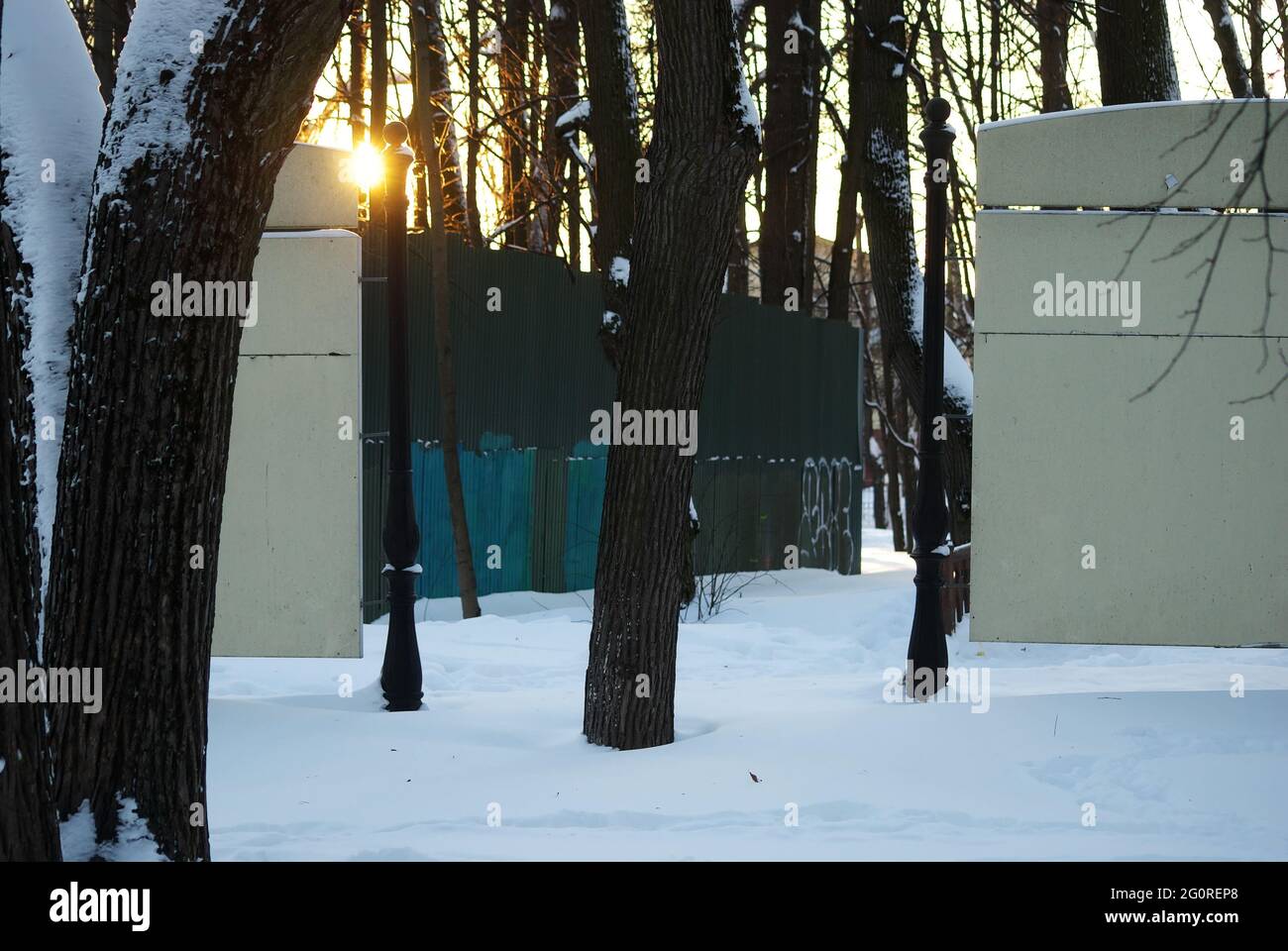 shadows from trees in the park, in winter Stock Photo - Alamy