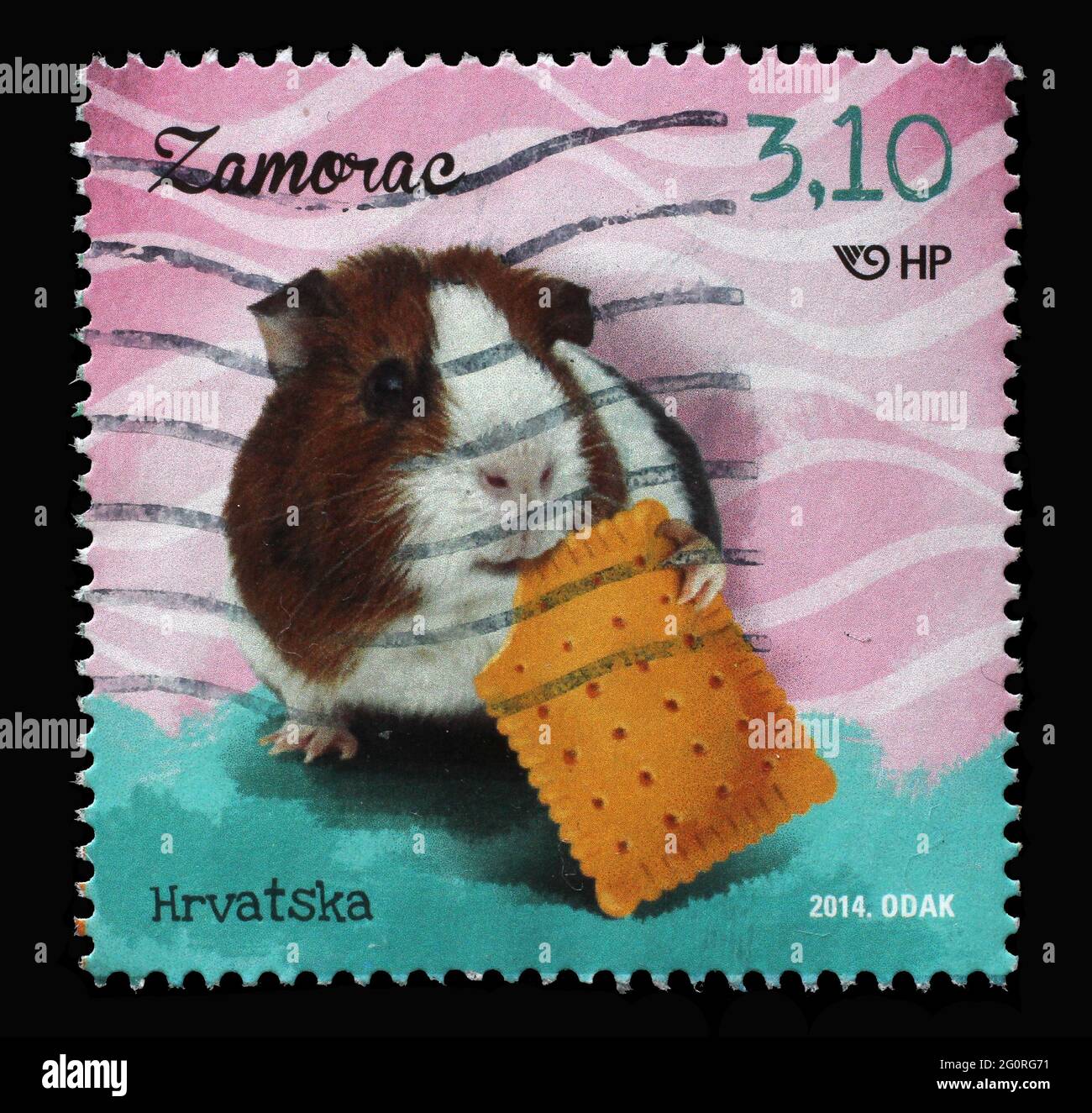 A stamp printed in Croatia shows Guinea Pig (Cavia porcellus), series, Children's World - Pets, circa 2014 Stock Photo