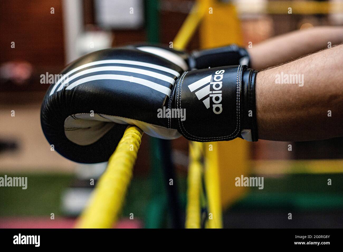 Close-up of boxing gloves on ring rope Stock Photo