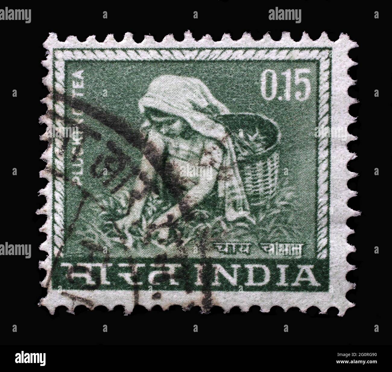 Stamp printed in India shows woman plucking tea, from the series 'Definitive stamps', circa 1965 Stock Photo