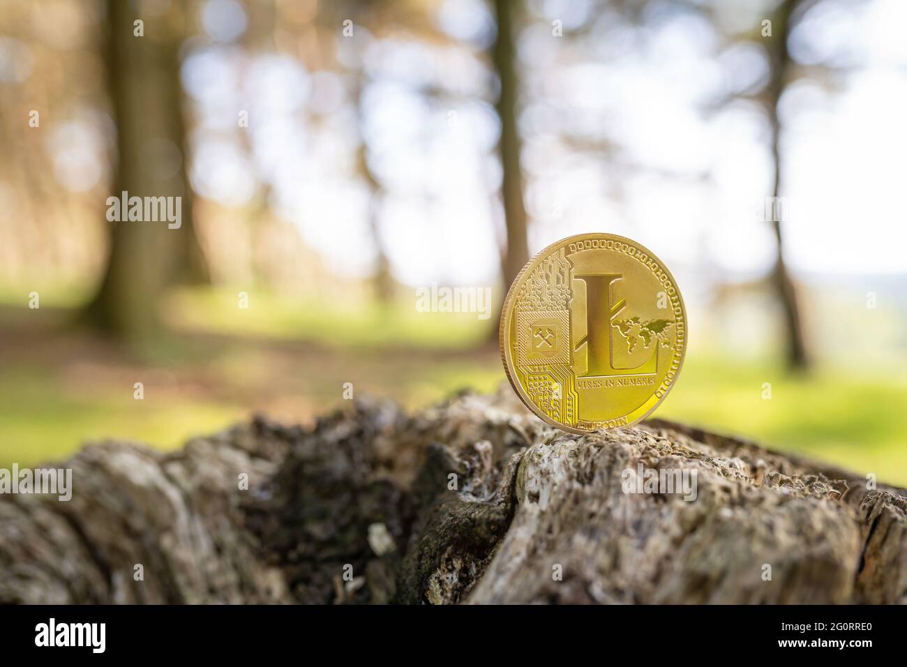 Close-up of Litecoin on a tree stump outdoor with green natural blurred  forest background with copy space. Single gold LTC cryptocurrency coin  Stock Photo - Alamy