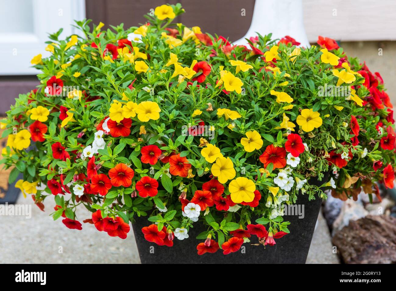 Million bells hires stock photography and images Alamy