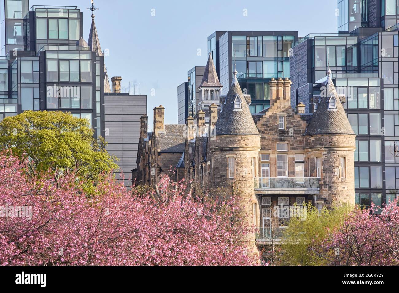 Meadows Edinburgh, Scotland Cherry trees spring blossom Stock Photo
