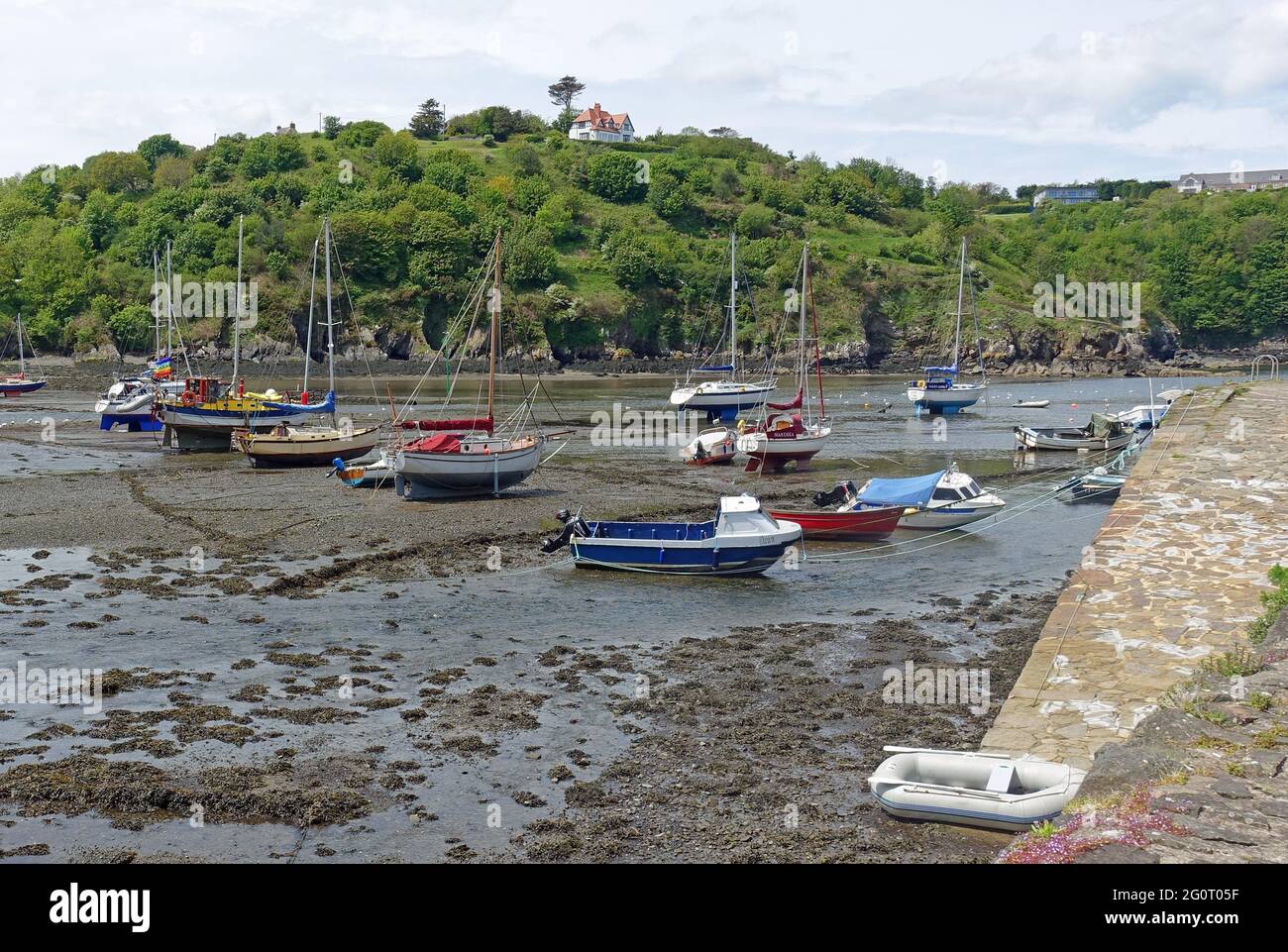 Low tide at Fishguard Lower Town harbour, Pembrokeshire, Wales Stock Photo