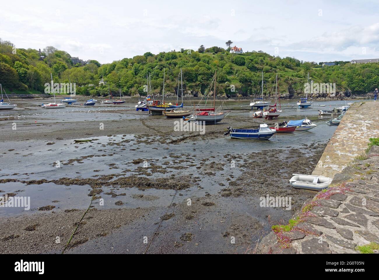 Low tide at Fishguard Lower Town harbour, Pembrokeshire, Wales Stock Photo