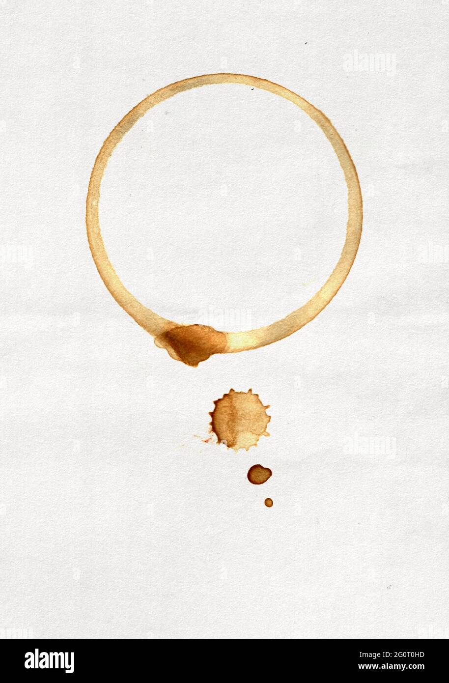 Plain paper coffee cup hi-res stock photography and images - Alamy