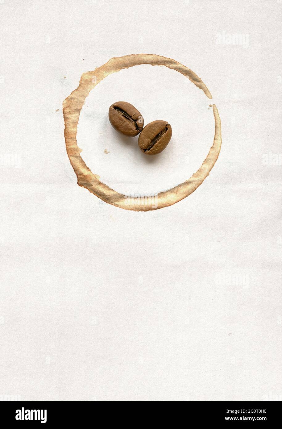 Spot on the cup and coffee beans on paper Stock Photo