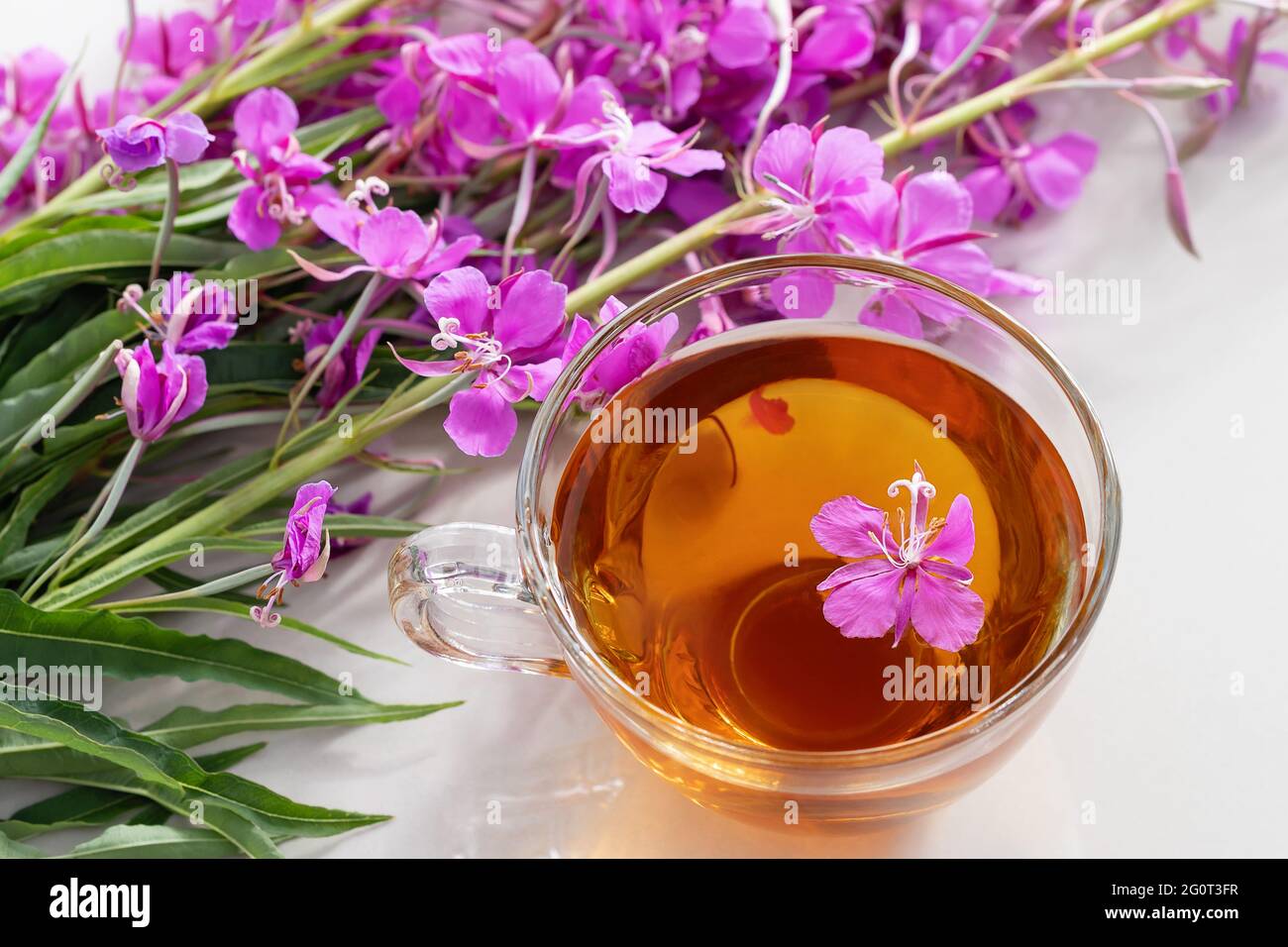 Fireweed herb known as blooming sally and tea in a cup Stock Photo