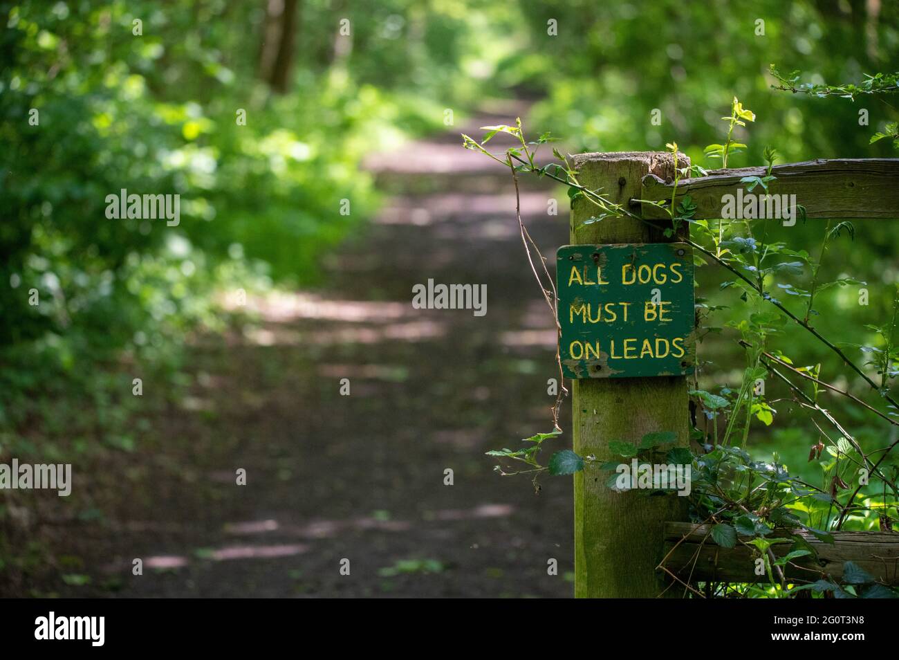 Old, handmade sign on a countryside path Stock Photo