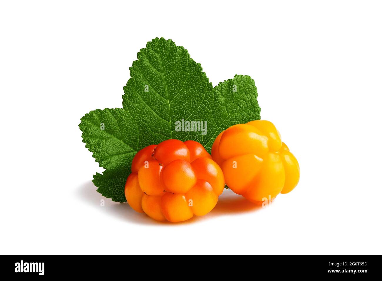 Two cloudberries with a leaf isolated on a white background with clipping path with and without shadow Stock Photo