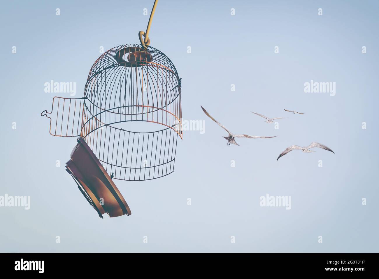Birds flying out of cage to the blue sky.  The concept of lifting restrictions. Defocused photo with soft focus. Stock Photo