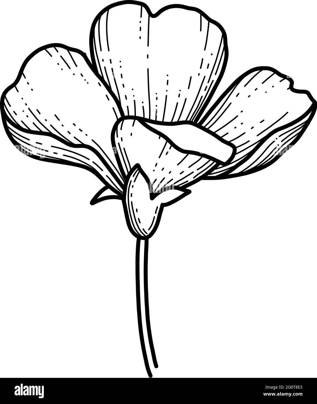 Japanese Flowers Line Drawings
