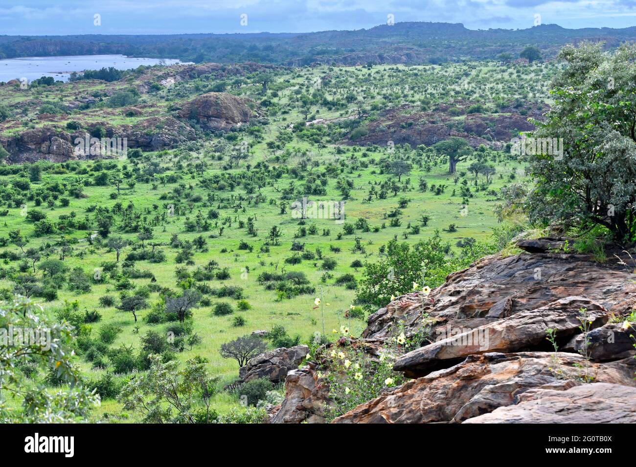 Mapungubwe national park is a World Heritage Site in Limpopo, South Africa Stock Photo
