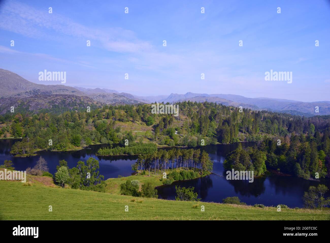 The beautiful and spectacular scenery of Tarn Hows lake set amongst the outstanding Lakeland fells caught in the sunlight of an early summers morning. Stock Photo
