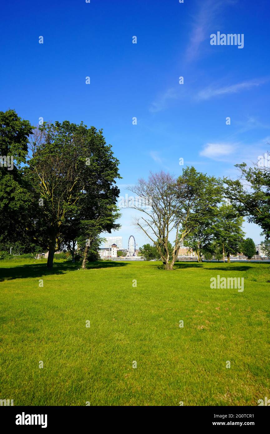 Wide-angle view of a summer landscape in Düsseldorf Oberkassel near Rhine river. Stock Photo