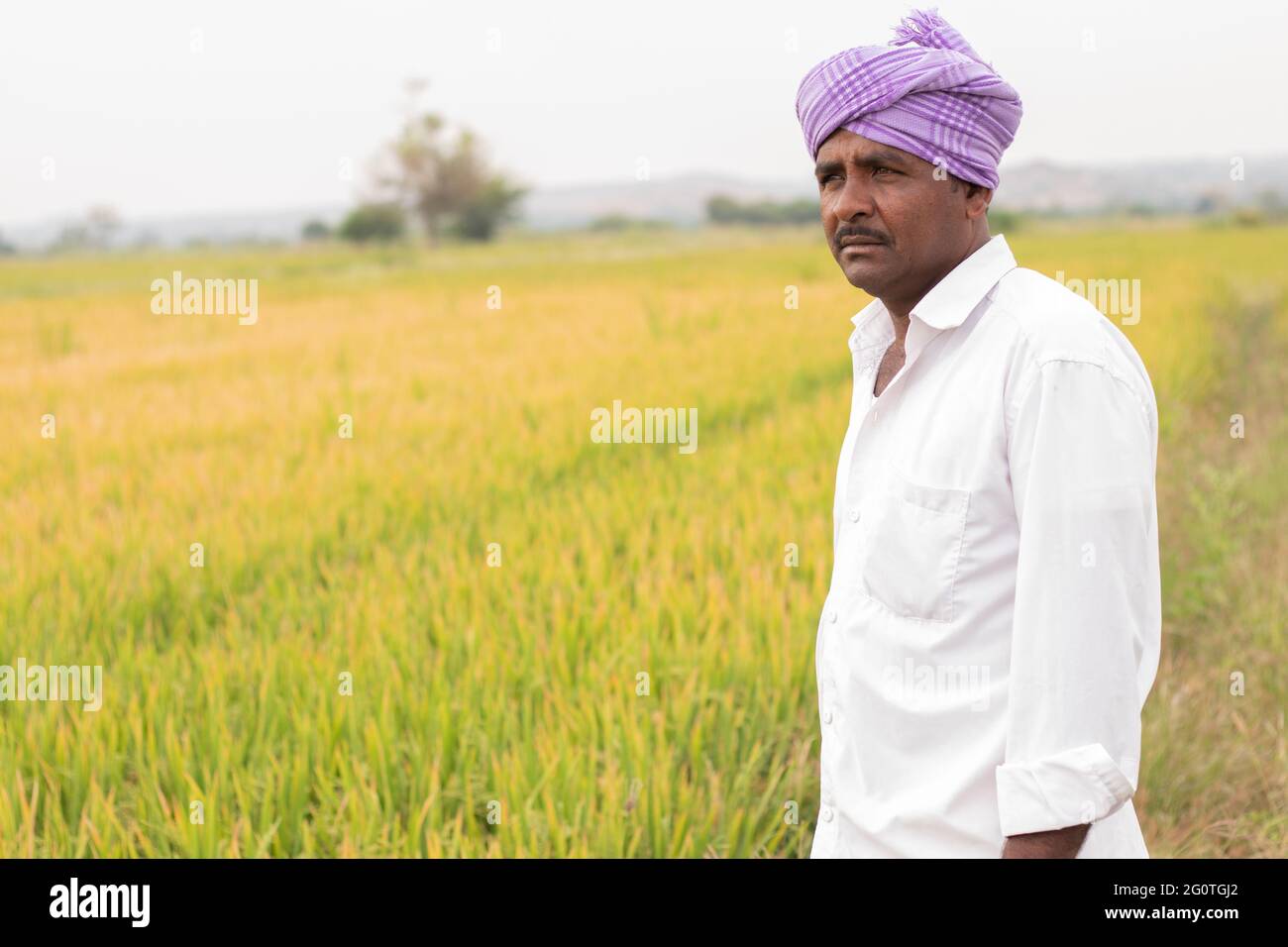 Medium Close up Shot of serious Indian Farmer standing in the middle of the paddy field with copy space Stock Photo