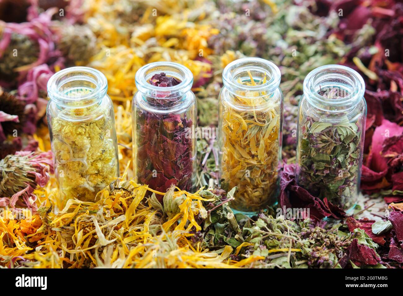 Dry plants hires stock photography and images Alamy