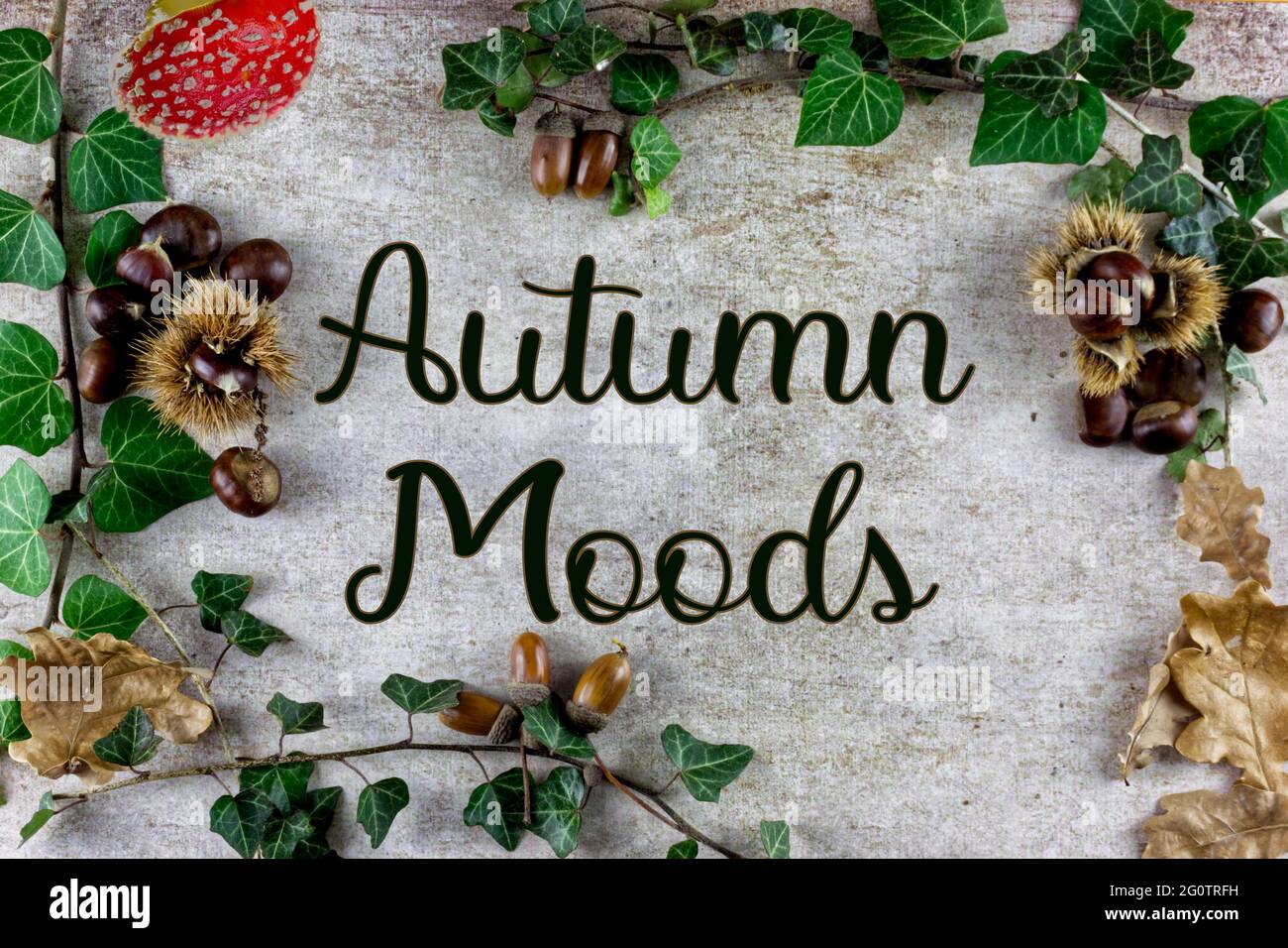 Autumn decoration with chestnuts, green branches and dry leaves with the text ''Autumn moods'' Stock Photo