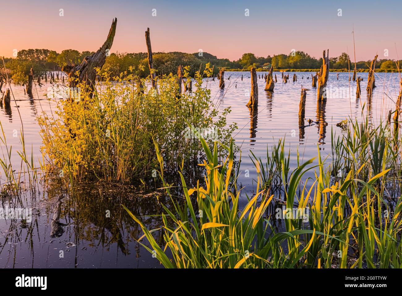 An evening at De Alde Feanen National Park, a national park in the Netherlands province of Friesland. The Alde Feanen is also a Natura 2000 area. Stock Photo