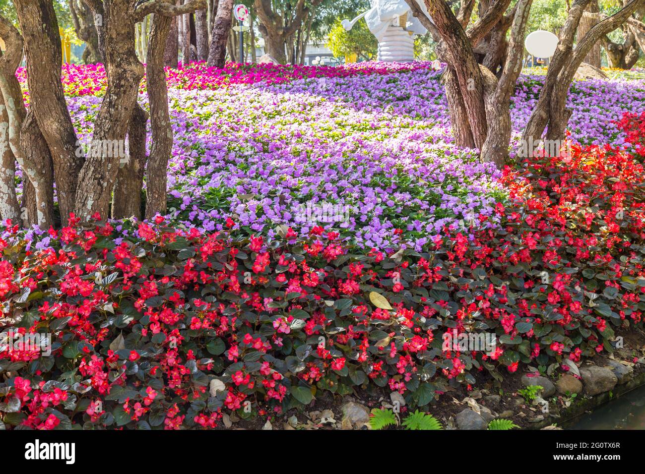 Beautiful many flowers in the garden at public park Stock Photo - Alamy