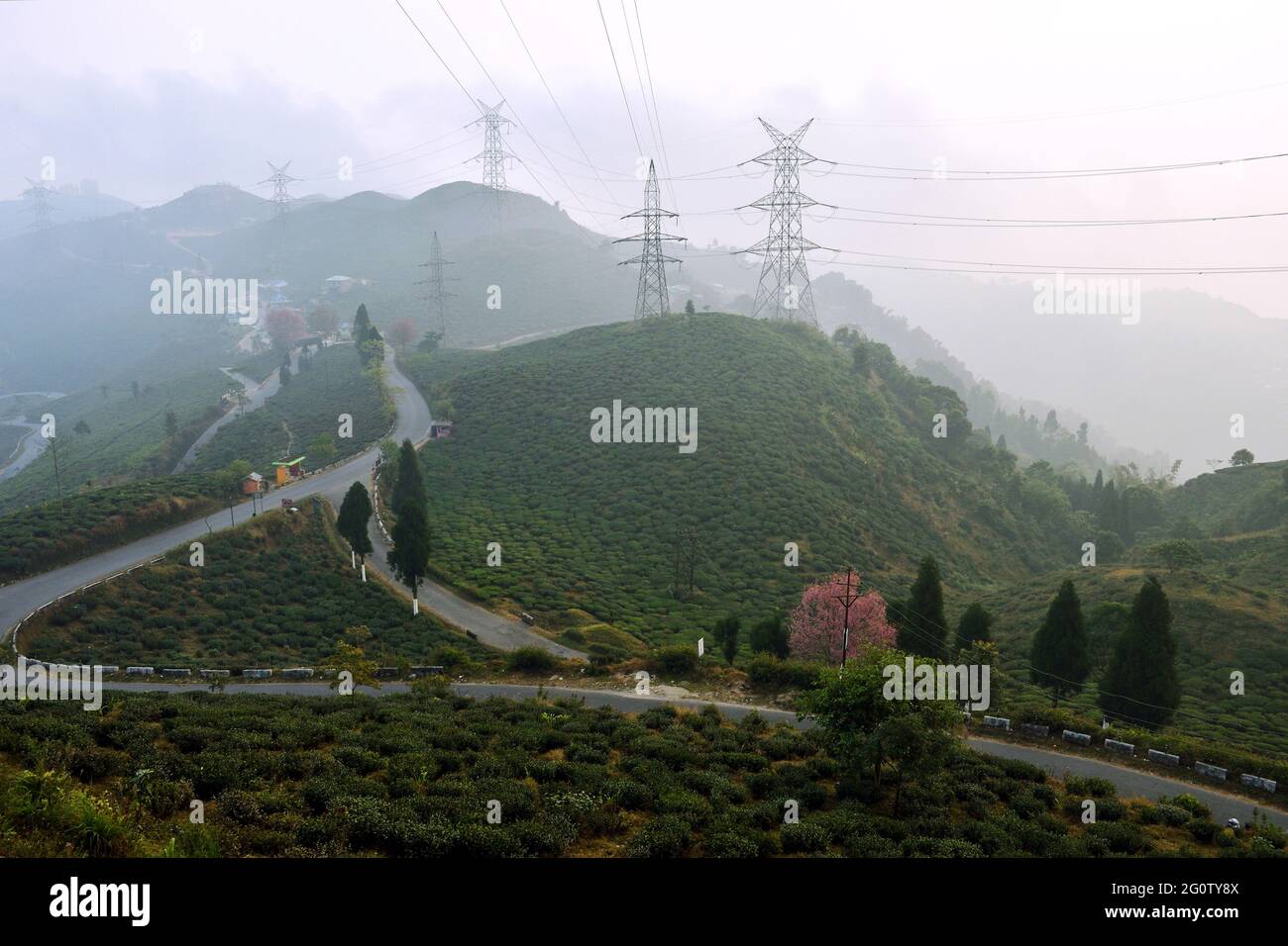 Countryside View Of Mirik [West Bengal, India] Stock Photo