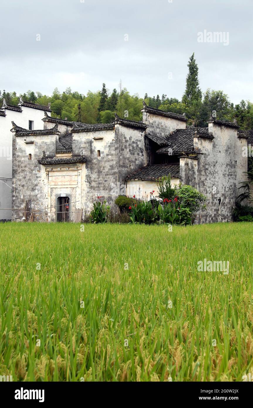 Sixi Yancun in Wuyuan County, Jiangxi Province, China. Traditional village buildings with fields. Stock Photo