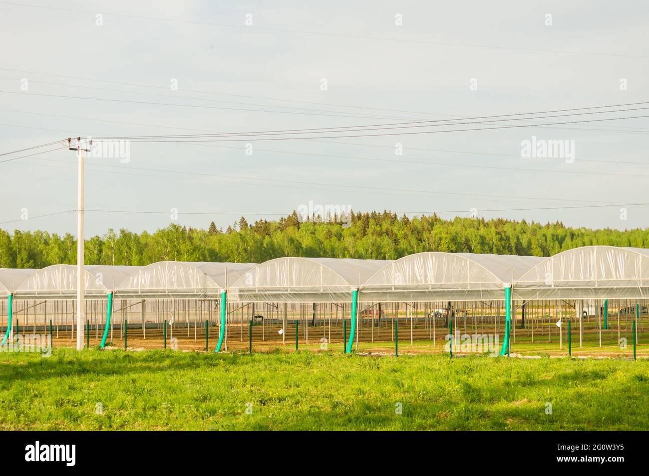 Industrial greenhouses hi-res stock photography and images - Alamy
