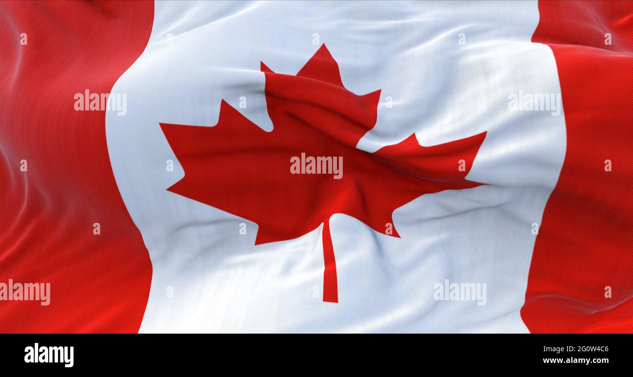 Detail of the National Flag of Canada waving in the wind. Red maple leaf charged in the centre. Democracy and politics. North American state Stock Photo