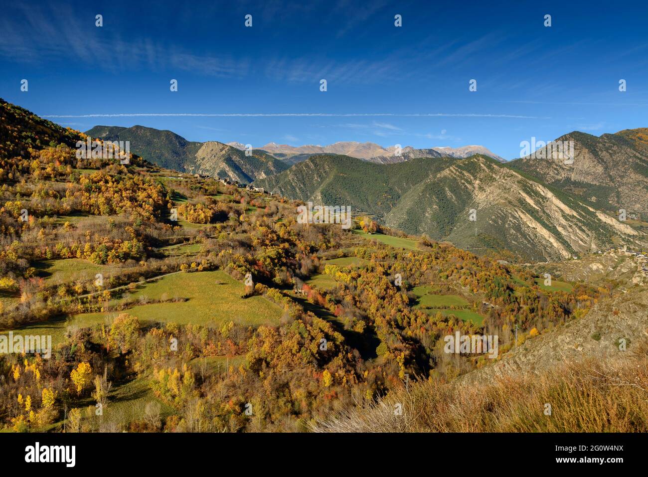 Autumn forest in Coma de Burg, in the Pallars Sobirà region (Alt Pirineu Natural Park, Catalonia, Spain, Pyrenees) Stock Photo