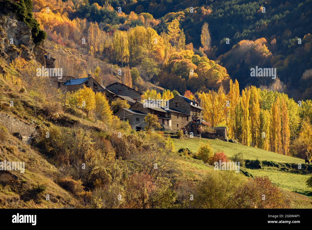 Autumn forest in Coma de Burg, in the Pallars Sobirà region (Alt Pirineu Natural Park, Catalonia, Spain, Pyrenees) Stock Photo