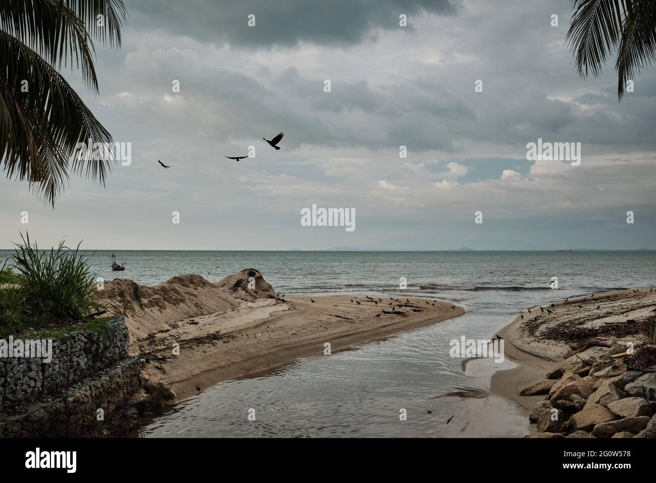 A small river flowing into the sea with crows flying near the mouth of ...