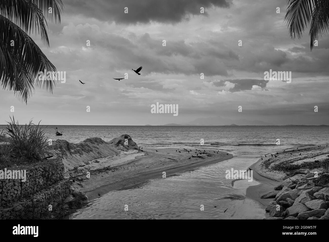 A small river flows into the sea with crows flying near the mouth on a moody evening in Penang, Malaysia, Asia Stock Photo