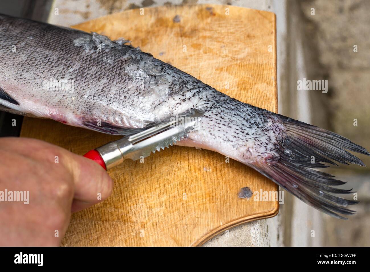 A man cleans fish with a fish scaler in a street kitchen. Outdoor cooking in summer. Stock Photo