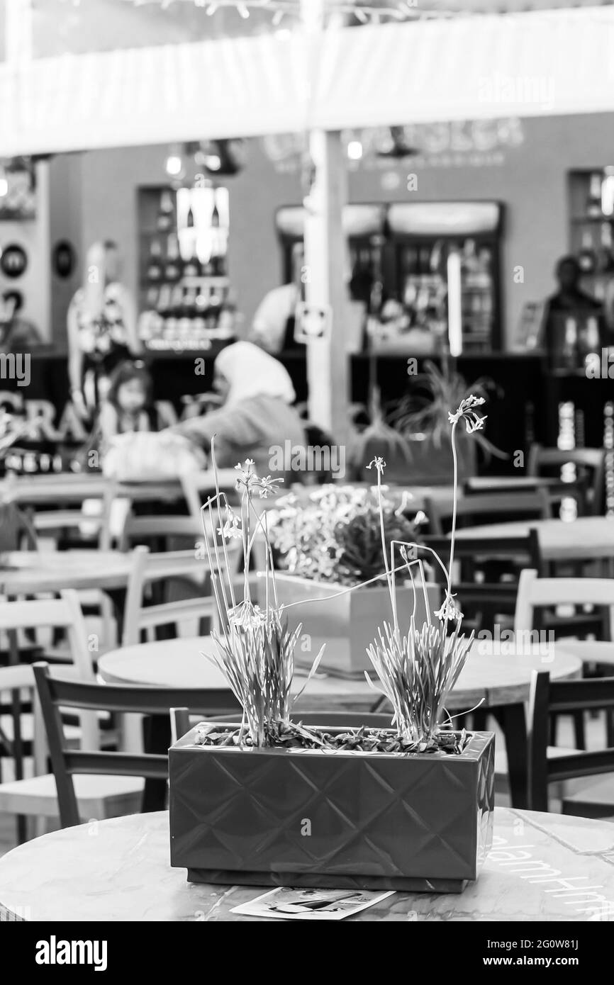 JOHANNESBURG, SOUTH AFRICA Jan 05, 2021 Johannesburg, South Africa