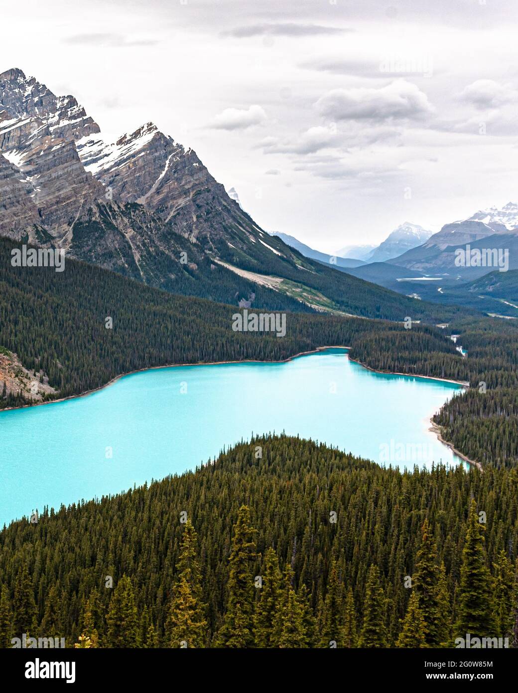 Iconic and beautiful Peyto Lake in Banff National Park, Alberta Canada ...