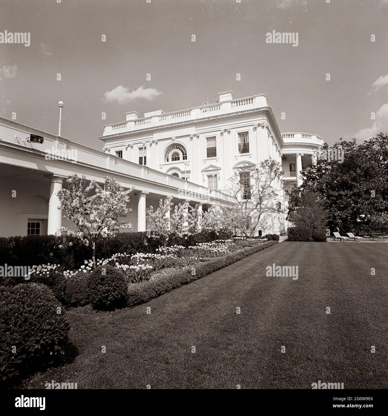 KN-C27979                     18 April 1963  Rose Garden, views.   Please credit 'Robert Knudsen. White House Photographs. John F. Kennedy Presidential Library and Museum, Boston' Stock Photo