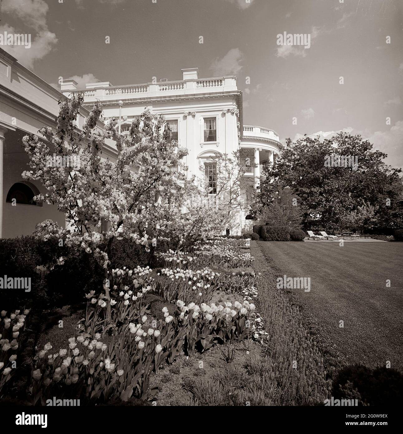 KN-C27975                     18 April 1963  Rose Garden, views.   Please credit 'Robert Knudsen. White House Photographs. John F. Kennedy Presidential Library and Museum, Boston' Stock Photo