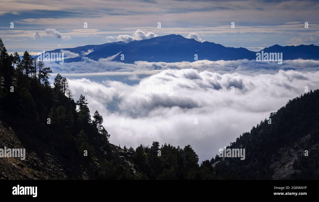 Fog at the bottom of the Cerdanya valley, seen from the Engorgs cirque. In the background, the Tosa d'Alp summit, Cerdanya, Catalonia, Spain, Pyrenees Stock Photo
