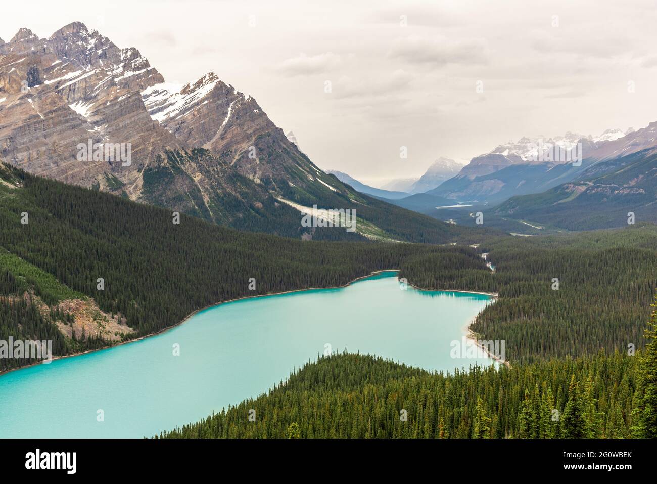 Iconic and beautiful Peyto Lake in Banff National Park, Alberta Canada ...
