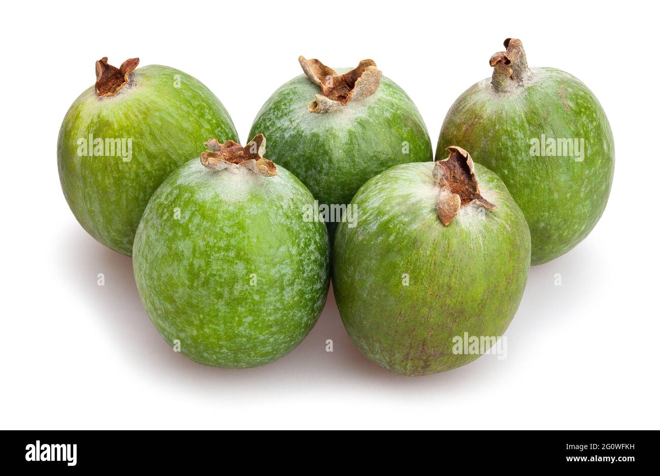 feijoa path isolated on white Stock Photo