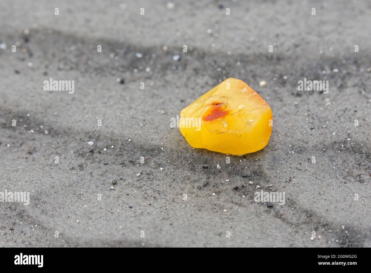 Amber nugget, fossilized tree resin, washed ashore on sandy beach of the Wadden Sea / North Sea, Germany Stock Photo