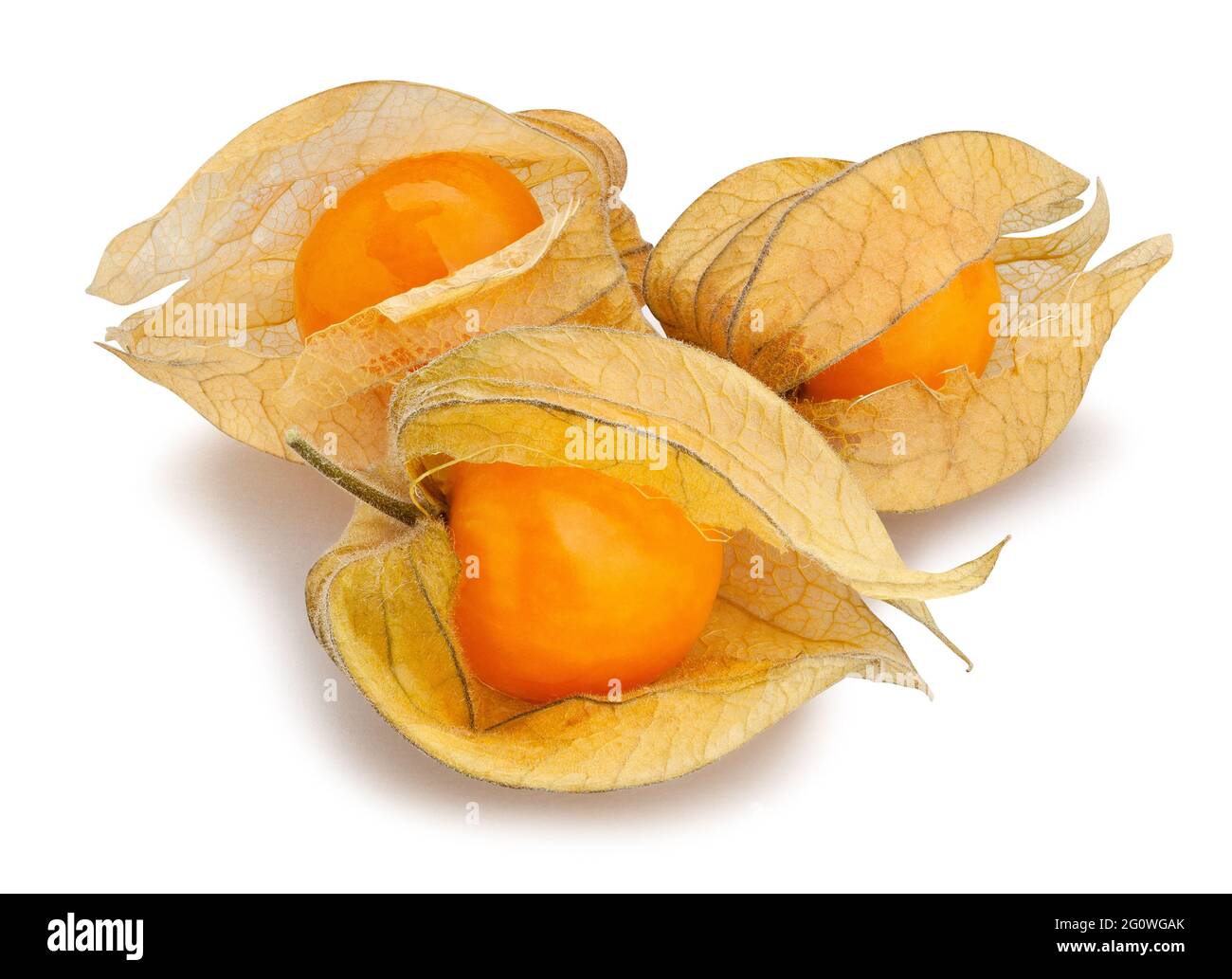 physalis path isolated on white Stock Photo