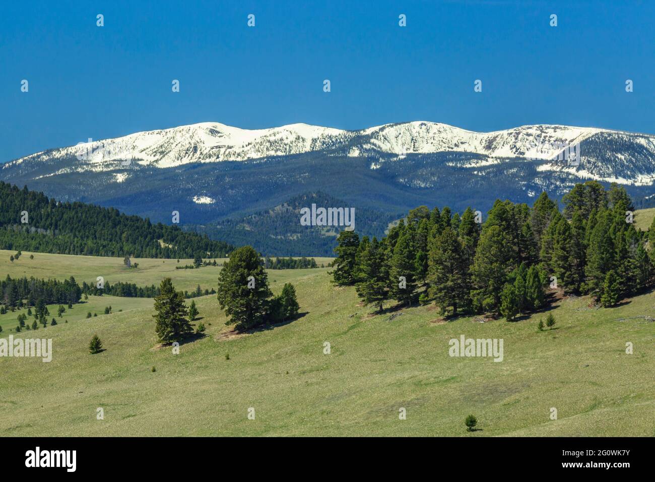 sapphire mountains above foothills and meadows near philipsburg, montana Stock Photo