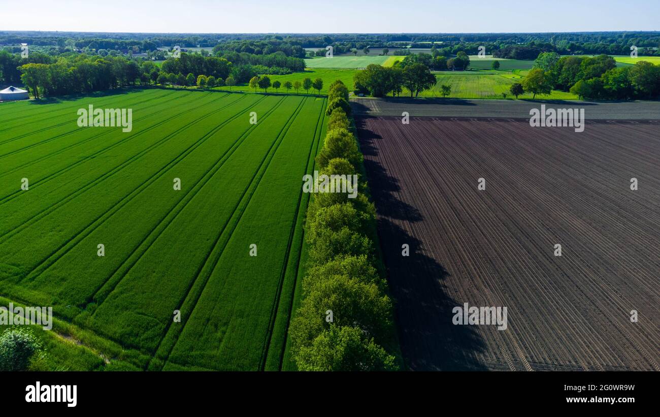 Beautiful early summer landscape with trees and fields. The picture was taken in Germany. Stock Photo