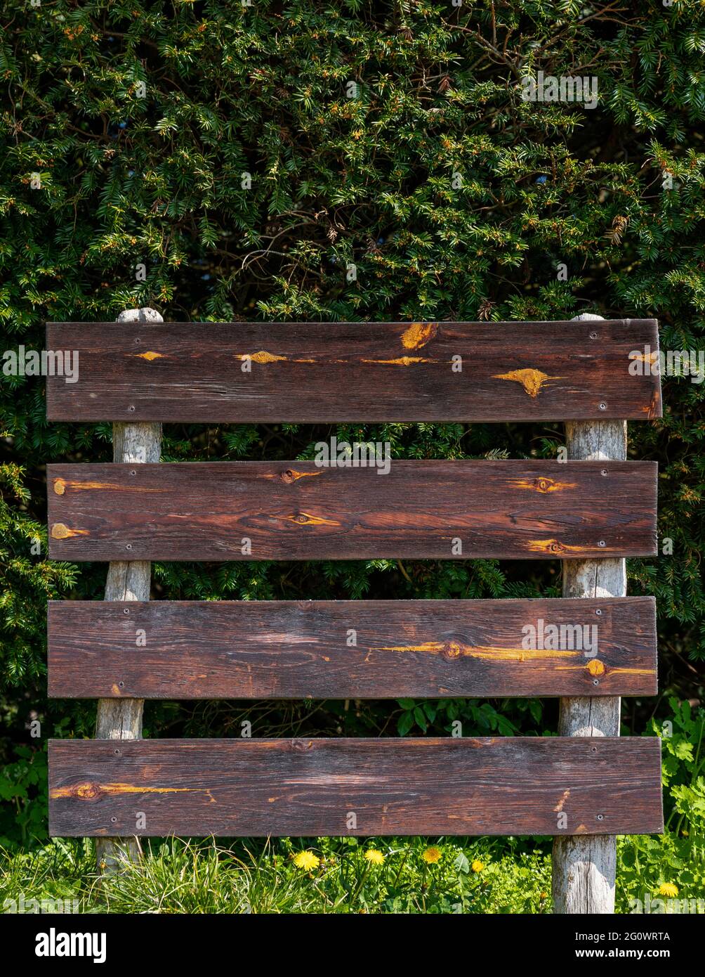 Wooden sign with empty space for text in the forest Stock Photo - Alamy