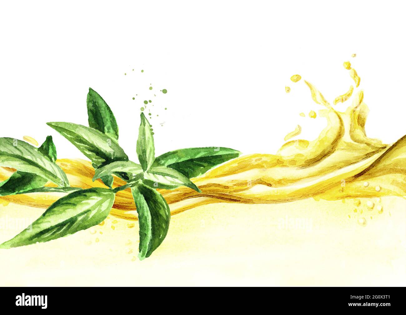 Lemon verbena essential oil wave. Watercolor hand drawn illustration, isolated on white background Stock Photo