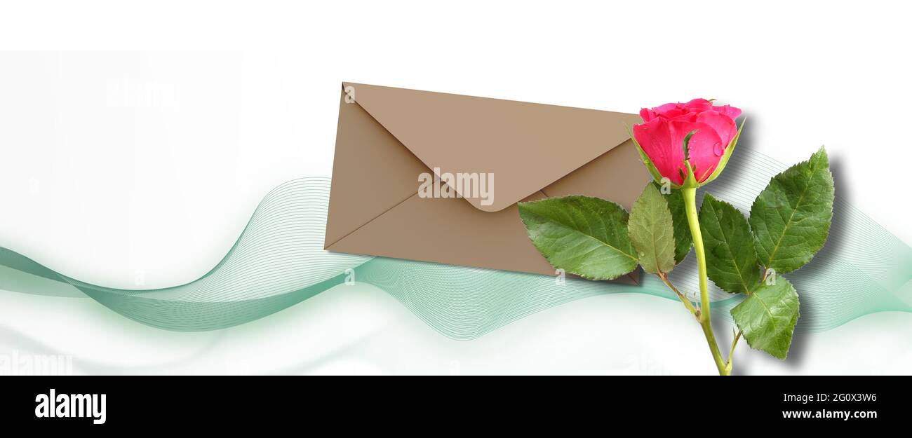 Single Red rose flower on white background with abstract green waves, envelop for mock up. Flowers for holiday cards, mother's day, 8 March, birthday, Stock Photo