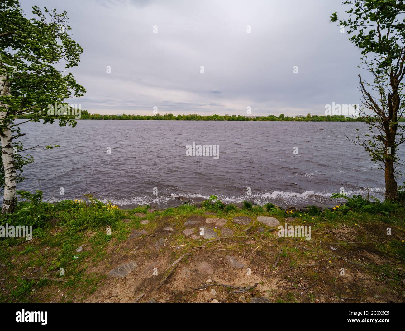 countryside forest river in summer with high grass and foliage. dark ...