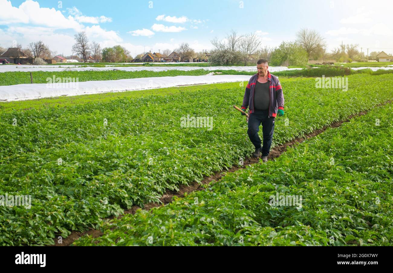 Farmer walks hi-res stock photography and images - Alamy
